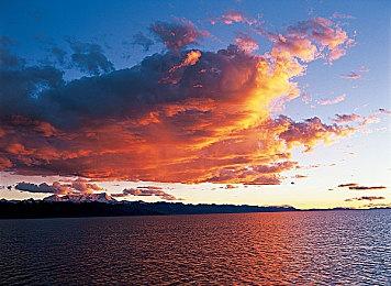 手机更新了会变卡？看完恍然大悟